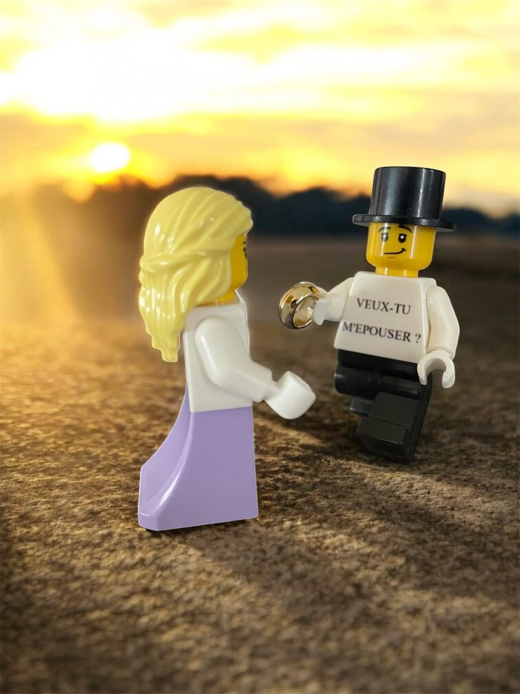 Figurine Veux tu m'épouser? Rêve de briques