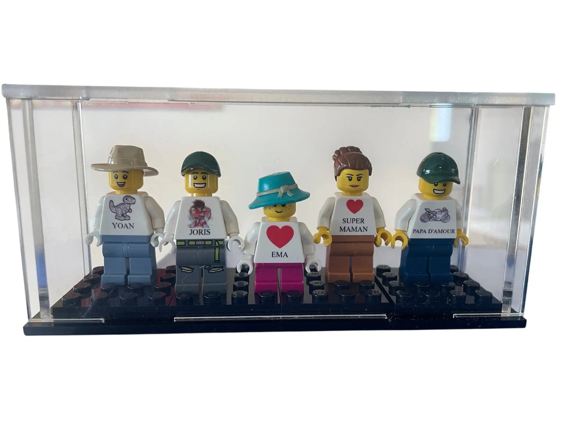 Vitrine pour figurines