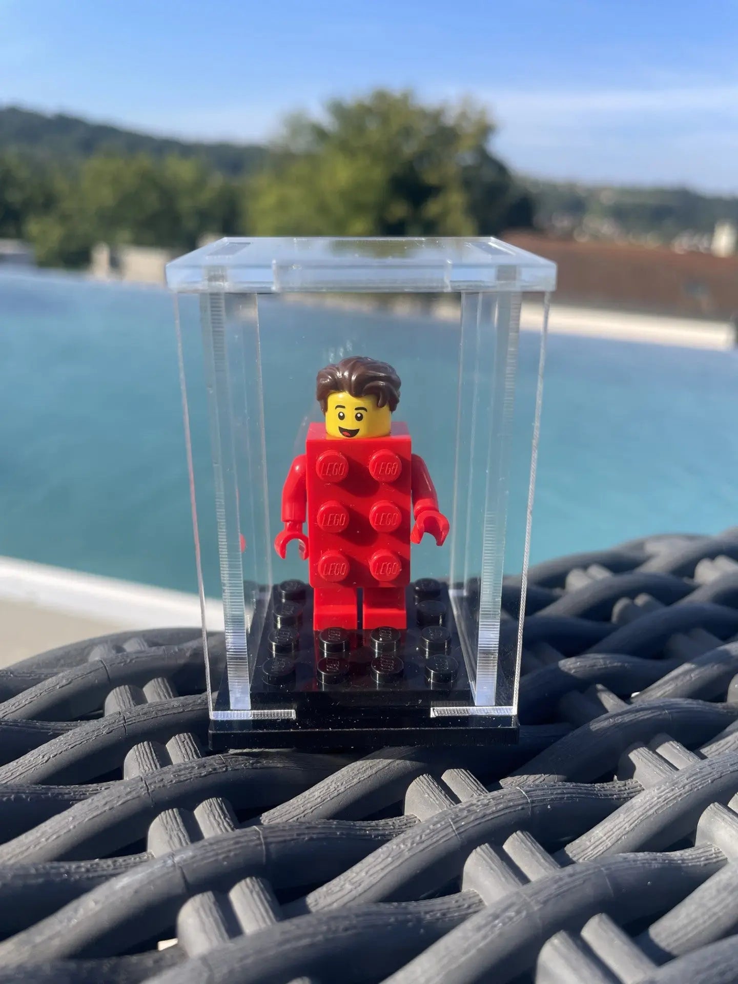 Vitrine pour figurine Rêve de briques