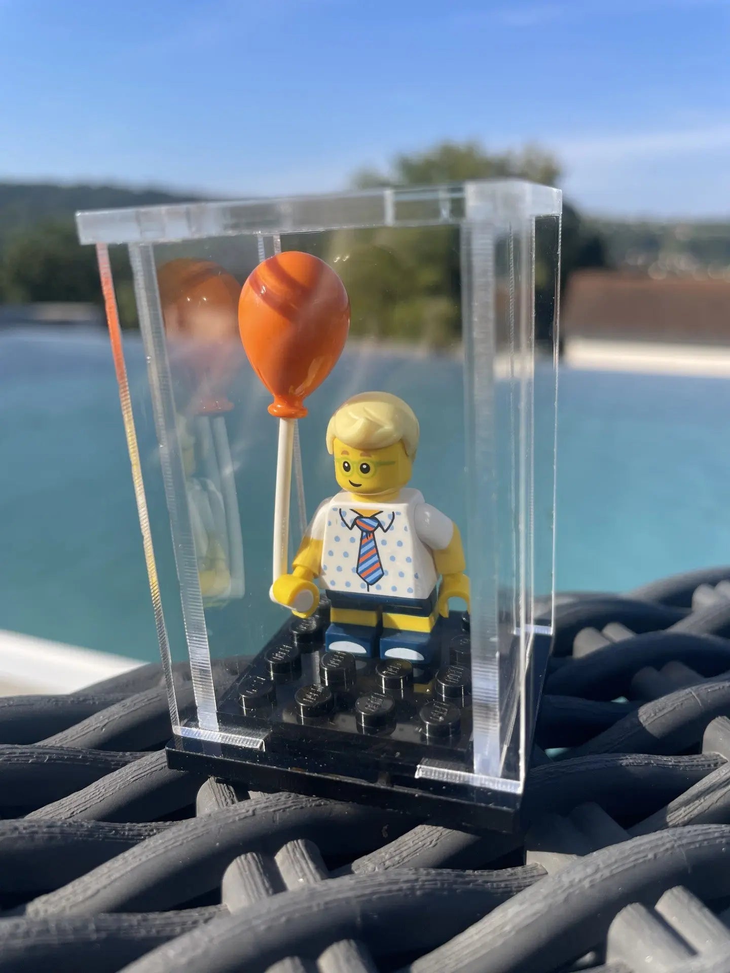 Vitrine pour figurine Rêve de briques